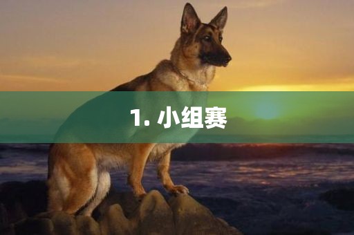 1. 小组赛