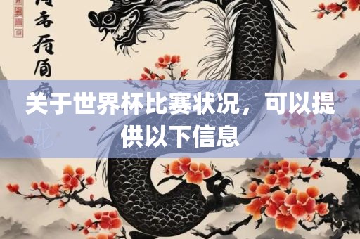 关于世界杯比赛状况，可以提供以下信息