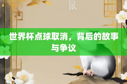 世界杯点球取消,背后的故事与争议