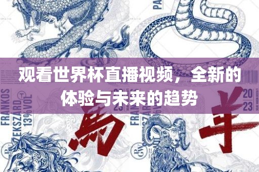 观看世界杯直播视频,全新的体验与未来的趋势广州熙林手袋有限公司