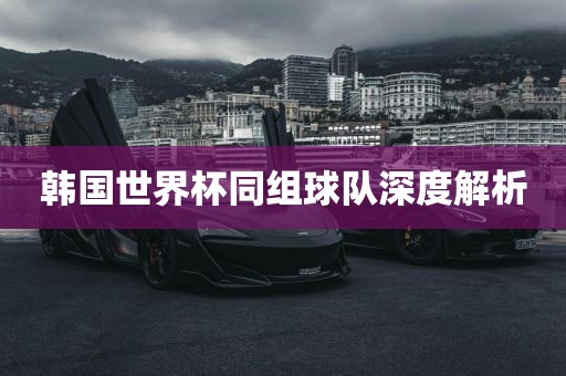 韩国世界杯同组球队深度解析