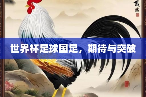 世界杯足球国足，期待与突破广州熙林手袋有限公司