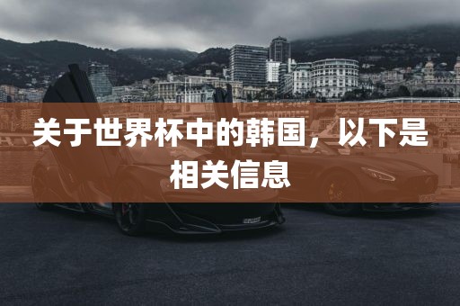关于世界杯中的韩国,以下是相关信息广州熙林手袋有限公司