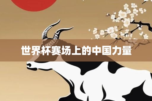 世界杯赛场上的中国力量广州熙林手袋有限公司