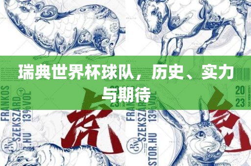 瑞典世界杯球队,历史、实力与期待