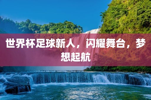 世界杯足球新人，闪耀舞台，梦想起航