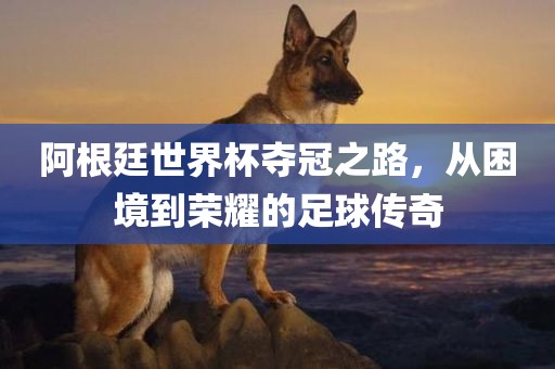 阿根廷世界杯夺冠之路，从困境到荣耀的足球传奇