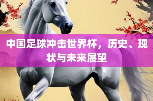 中国足球冲击世界杯，历史、现状与未来展望广州熙林手袋有限公司