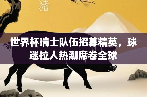 世界杯瑞士队伍招募精英,球迷拉人热潮席卷全球广州熙林手袋有限公司