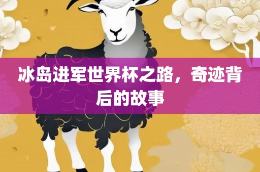 冰岛进军世界杯之路，奇迹背后的故事