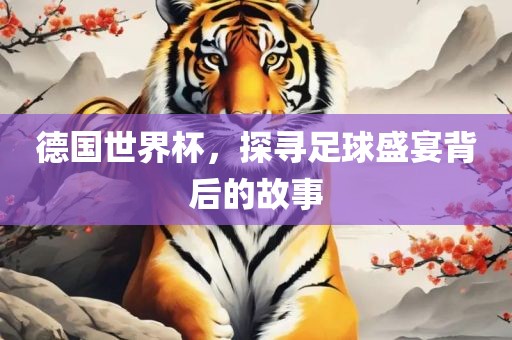 德国世界杯,探寻足球盛宴背后的故事