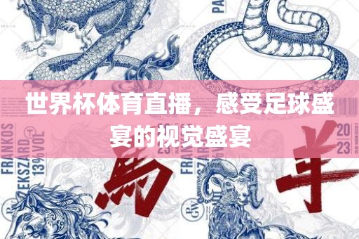 世界杯体育直播，感受足球盛宴的视觉盛宴