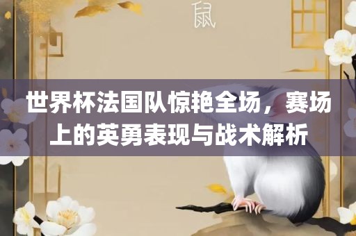 世界杯法国队惊艳全场,赛场上的英勇表现与战术解析广州熙林手袋有限公司