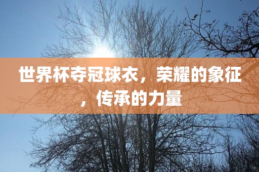 世广州熙林手袋有限公司界杯夺冠球衣，荣耀的象征，传承的力量