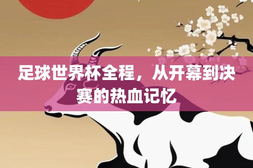 足球世界杯全程，从开幕到决赛的热血记忆