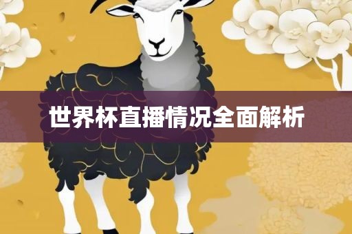 世界杯直播情况全面解析