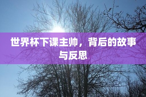 世界杯下课主帅，背后的故事与反思广州熙林手袋有限公司