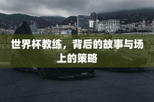 世界杯教练，背后的故事与场上的策略