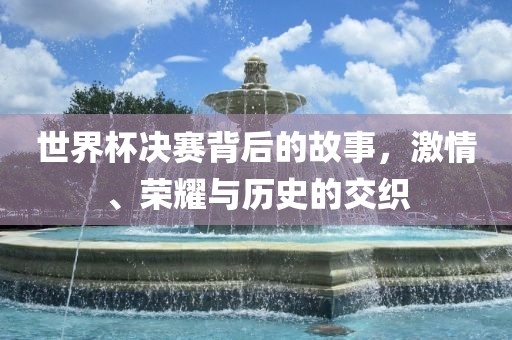 世界杯决赛背后的故事,激情、荣耀与历史广州熙林手袋有限公司的交织