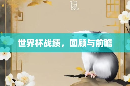 世界杯战绩，回顾与前瞻