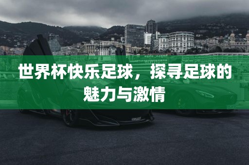 世界杯快乐足球,探寻足球的魅力与激情广州熙林手袋有限公司