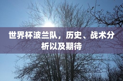 世界杯波兰队,历史、战术分析以及期待