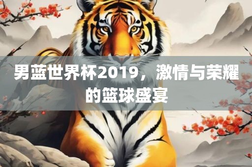 男蓝世界杯2019,激情与荣耀的篮球盛宴