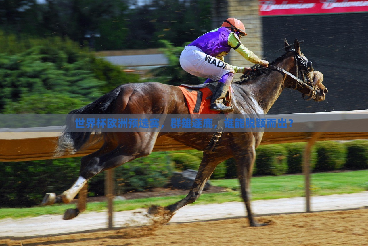 世界杯欧洲预选赛，群雄逐鹿，谁能脱颖而出？