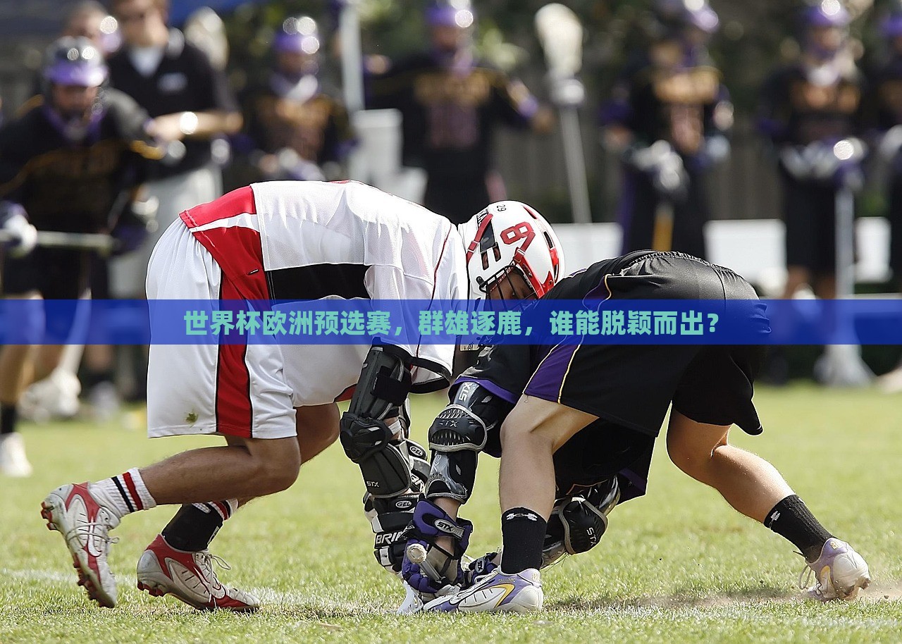 世界杯欧洲预选赛,群雄逐鹿,谁能脱颖而出?